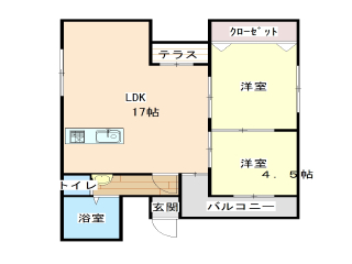 905画像